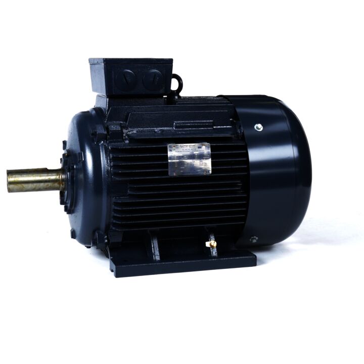 Cast Iron Motor, 60 & 50 HP, 3 Ph, 60 & 50 Hz, 230/460 & 200/400 V, 1800 & 1500 RPM, 225M Frame, TEFC