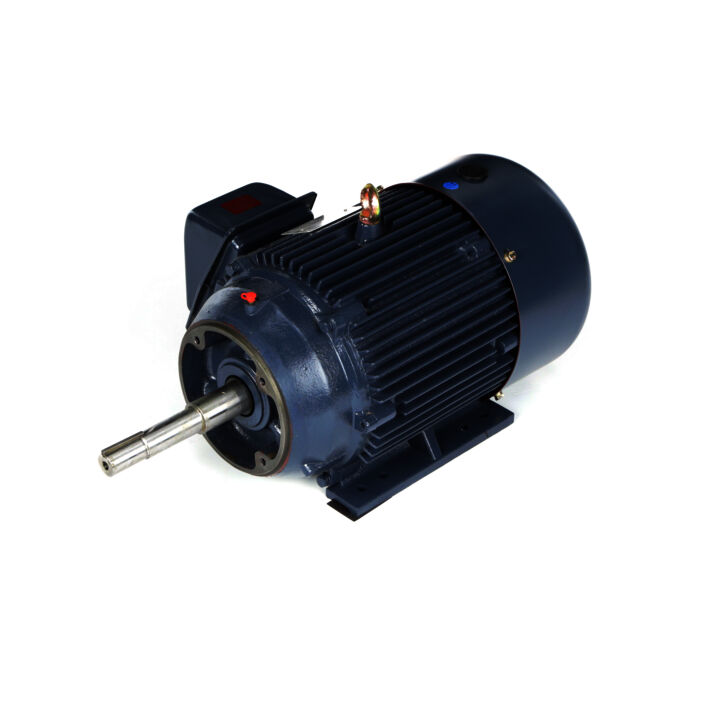 Close-Coupled Pump Motor, 15 & 10 HP, 3 Ph, 60 & 50 Hz, 230/460 & 190/380 V, 3600 & 3000 RPM, 254JP Frame, TEFC