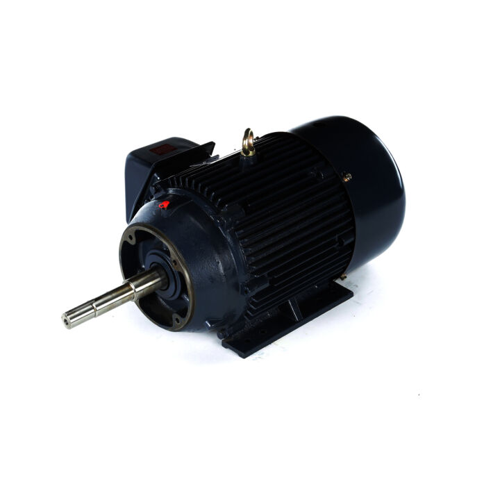Close-Coupled Pump Motor, 15 HP, 3 Ph, 60 Hz, 575 V, 3600 RPM, 254JP Frame, TEFC