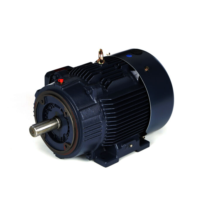 General Purpose Motor, 15 & 10 HP, 3 Ph, 60 & 50 Hz, 230/460 & 190/380 V, 1800 & 1500 RPM, 254TC Frame, TEFC