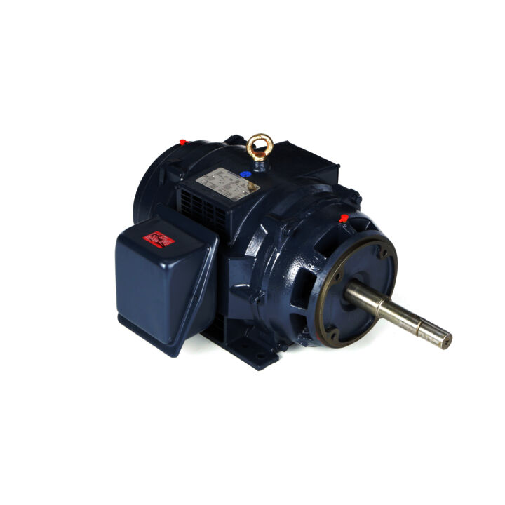 Close-Coupled Pump Motor, 25 & 25 HP, 3 Ph, 60 & 50 Hz, 200-230/460 & 200/400 V, 3600 & 3000 RPM, 256JP Frame, DP