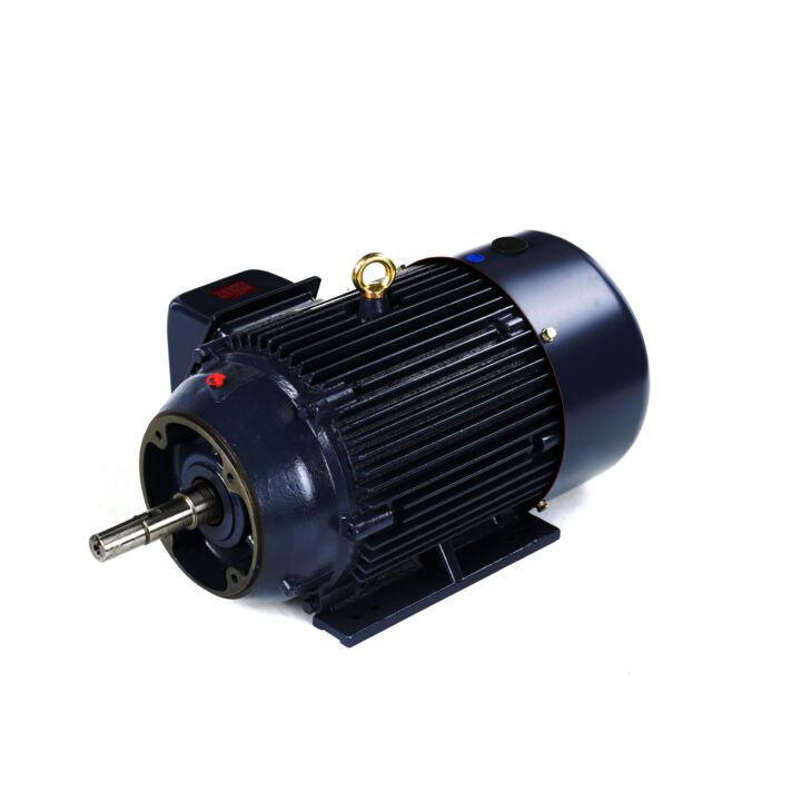 Close-Coupled Pump Motor, 20 & 15 HP, 3 Ph, 60 & 50 Hz, 230/460 & 190/380 V, 1800 & 1500 RPM, 256JM Frame, TEFC