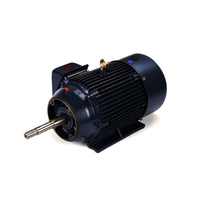 Close-Coupled Pump Motor, 20 & 15 HP, 3 Ph, 60 & 50 Hz, 230/460 & 190/380 V, 1800 & 1500 RPM, 256JP Frame, TEFC