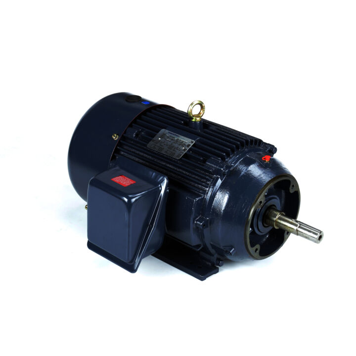 Close-Coupled Pump Motor, 20 & 15 HP, 3 Ph, 60 & 50 Hz, 230/460 & 190/380 V, 3600 & 3000 RPM, 256JM Frame, TEFC