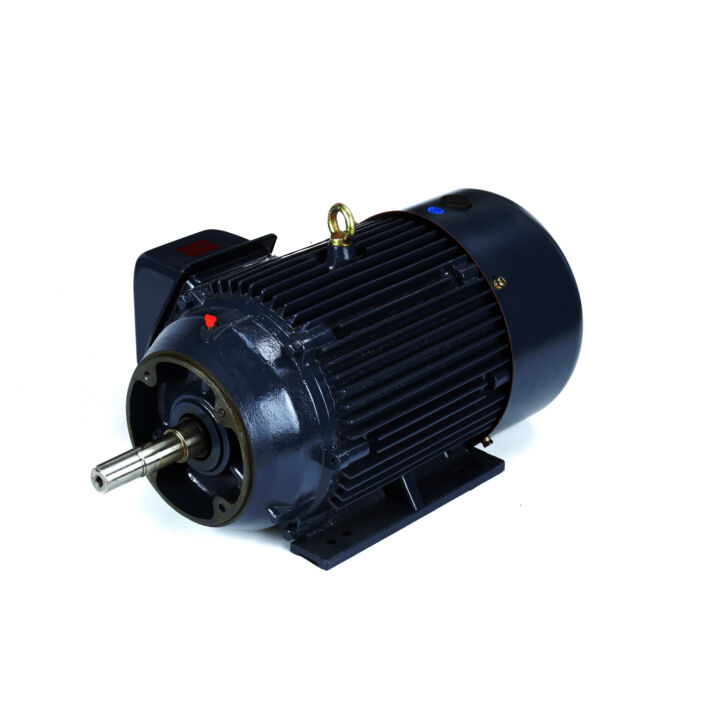 Close-Coupled Pump Motor, 20 & 15 HP, 3 Ph, 60 & 50 Hz, 230/460 & 190/380 V, 3600 & 3000 RPM, 256JM Frame, TEFC