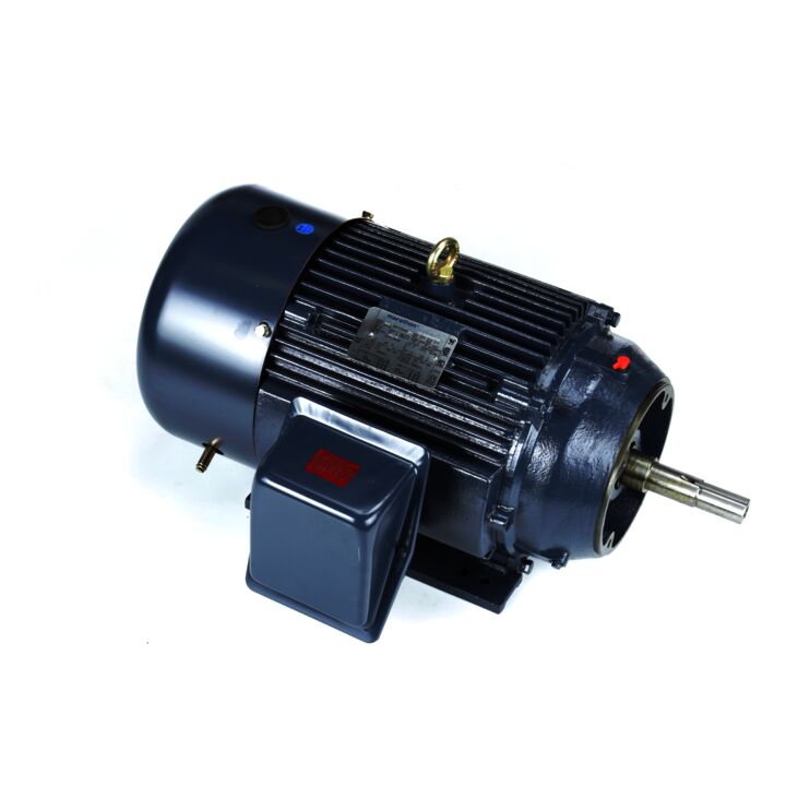 Close-Coupled Pump Motor, 20 & 15 HP, 3 Ph, 60 & 50 Hz, 230/460 & 190/380 V, 3600 & 3000 RPM, 256JM Frame, TEFC