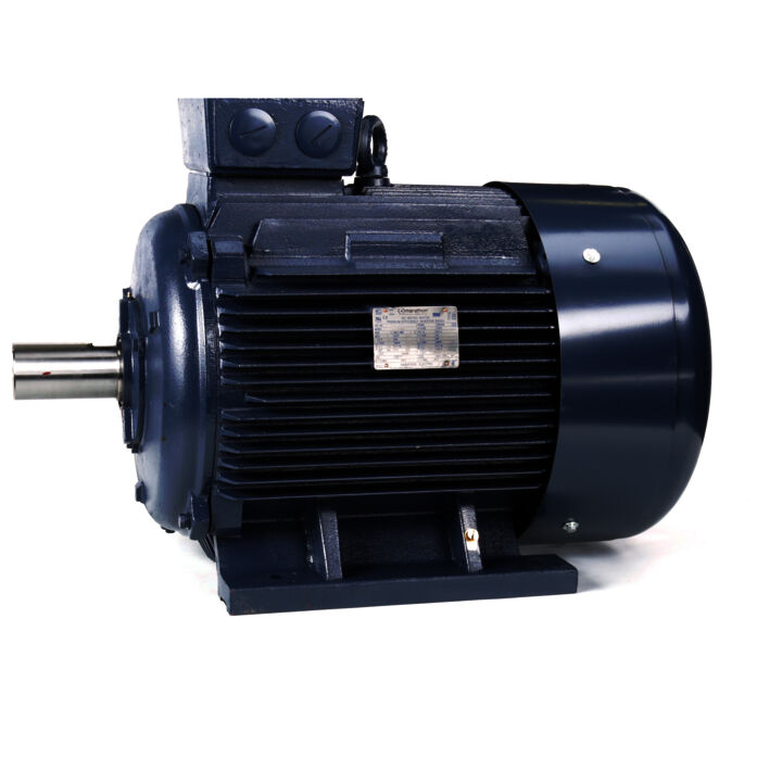 Cast Iron Motor, 100 & 75 HP, 3 Ph, 60 & 50 Hz, 230/460 & 200/400 V, 1800 & 1500 RPM, 280S Frame, TEFC