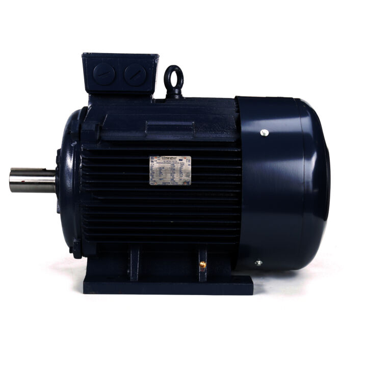 Cast Iron Motor, 100 & 75 HP, 3 Ph, 60 & 50 Hz, 230/460 & 200/400 V, 1800 & 1500 RPM, 280S Frame, TEFC
