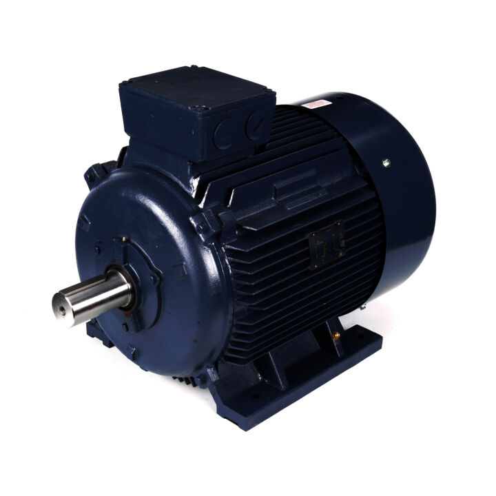 Cast Iron Motor, 100 & 75 HP, 3 Ph, 60 & 50 Hz, 230/460 & 200/400 V, 1800 & 1500 RPM, 280S Frame, TEFC