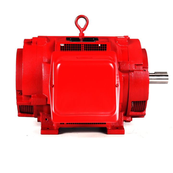 Fire Pump Motor, 30 & 25 HP, 3 Ph, 60 & 50 Hz, 230/460 & 190/380 V, 3600 & 3000 RPM, 284TS Frame, DP