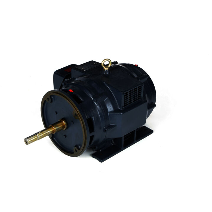 Close-Coupled Pump Motor, 15 & 10 HP, 3 Ph, 60 & 50 Hz, 230/460 & 190/380 V, 1200 & 1000 RPM, 284JPV Frame, DP