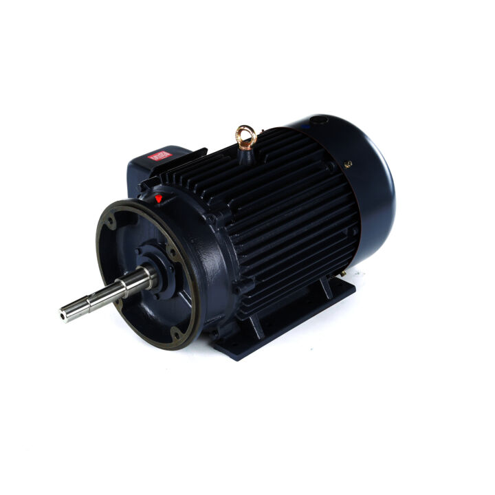 Close-Coupled Pump Motor, 25 & 20 HP, 3 Ph, 60 & 50 Hz, 230/460 & 190/380 V, 3600 & 3000 RPM, 284JP Frame, TEFC