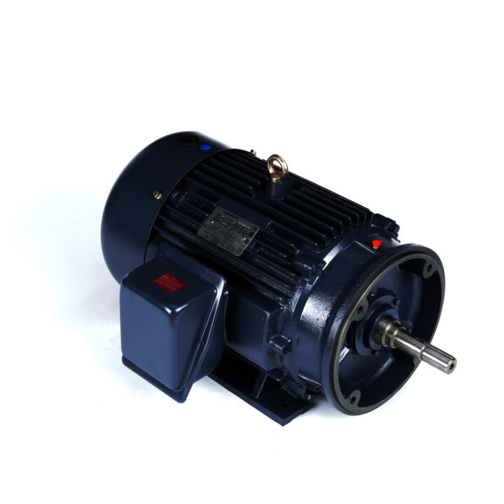 Close-Coupled Pump Motor, 25 & 20 HP, 3 Ph, 60 & 50 Hz, 230/460 & 190/380 V, 3600 & 3000 RPM, 284JM Frame, TEFC