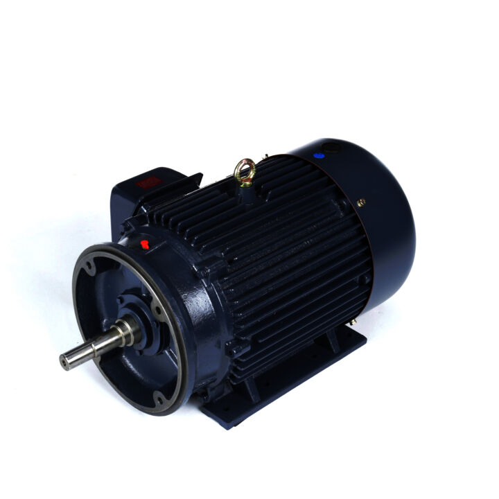Close-Coupled Pump Motor, 25 & 20 HP, 3 Ph, 60 & 50 Hz, 230/460 & 190/380 V, 3600 & 3000 RPM, 284JM Frame, TEFC