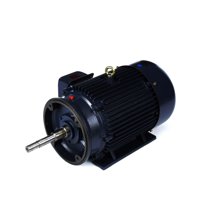 Close-Coupled Pump Motor, 25 & 20 HP, 3 Ph, 60 & 50 Hz, 230/460 & 190/380 V, 1800 & 1500 RPM, 284JP Frame, TEFC
