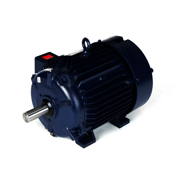 Severe Duty Motor, 25 HP, 3 Ph, 60 Hz, 230/460 V, 1800 RPM, 284T Frame, TEFC