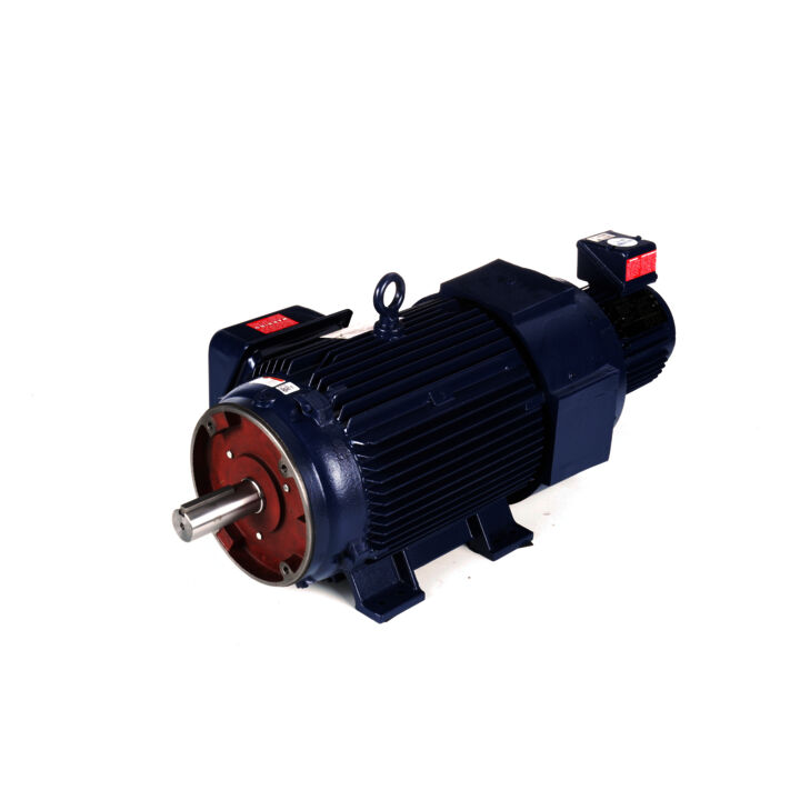 Encoder Motor, 20 HP, 3 Ph, 60 Hz, 230/460 V, 1200 RPM, 286TC Frame, TEBC-AXIAL