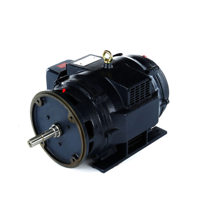 Close-Coupled Pump Motor, 20 & 15 HP, 3 Ph, 60 & 50 Hz, 230/460 & 190/380 V, 1200 & 1000 RPM, 286JMV Frame, DP
