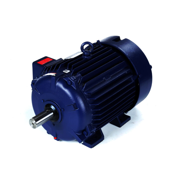 Severe Duty Motor, 30 & 25 HP, 3 Ph, 60 & 50 Hz, 230/460 & 190/380 V, 1800 & 1500 RPM, 286T Frame, TEFC