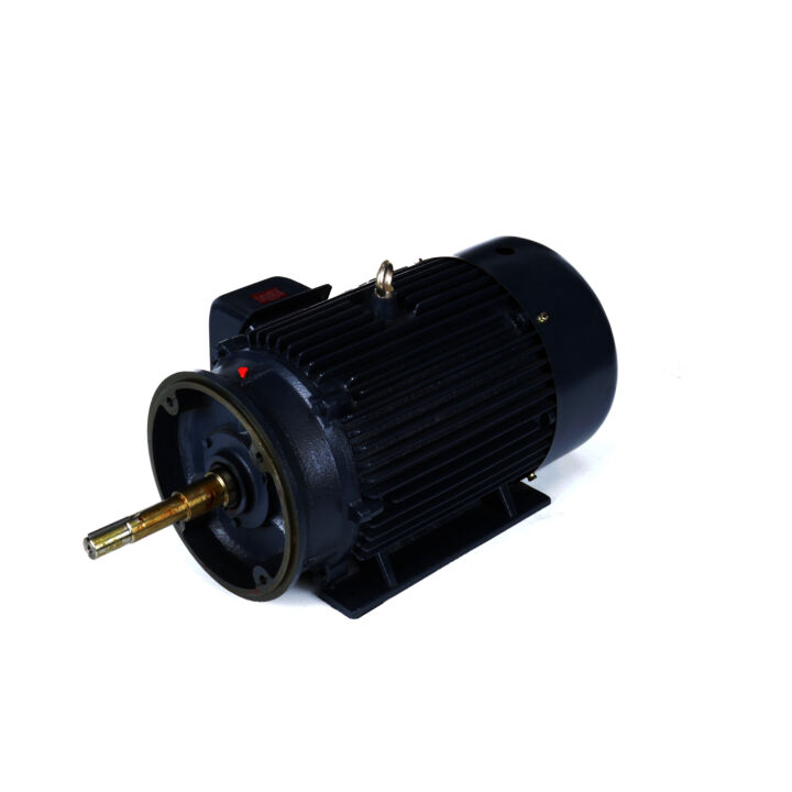 Close-Coupled Pump Motor, 20 & 15 HP, 3 Ph, 60 & 50 Hz, 230/460 & 190/380 V, 1200 & 1000 RPM, 286JPV Frame, TEFC