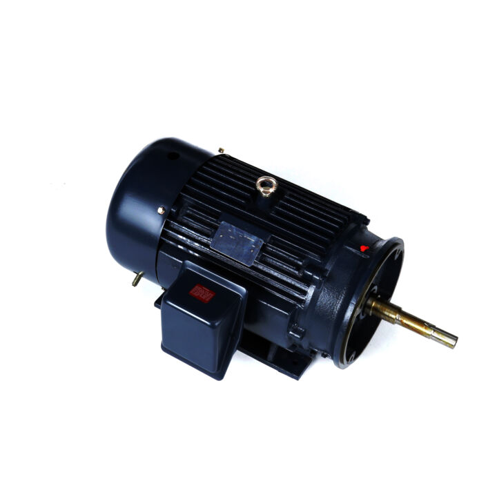 Close-Coupled Pump Motor, 20 & 15 HP, 3 Ph, 60 & 50 Hz, 230/460 & 190/380 V, 1200 & 1000 RPM, 286JP Frame, TEFC