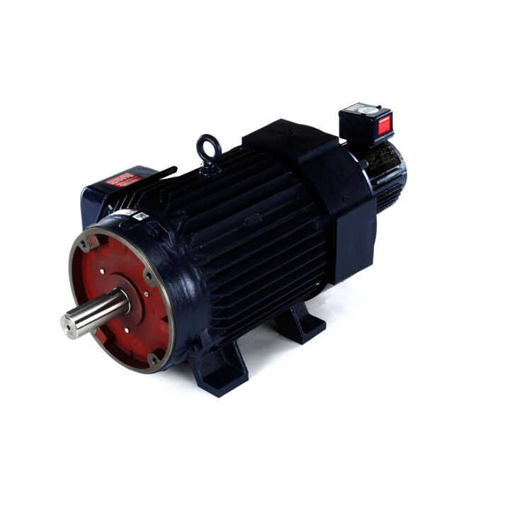 Encoder Motor, 25 HP, 3 Ph, 60 Hz, 230/460 V, 1200 RPM, 324TC Frame, TEBC-AXIAL