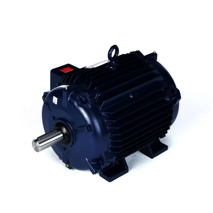 Severe Duty Motor, 30 & 25 HP, 3 Ph, 60 & 50 Hz, 230/460 & 190/380 V, 1800 & 1500 RPM, 286TV Frame, TEAO