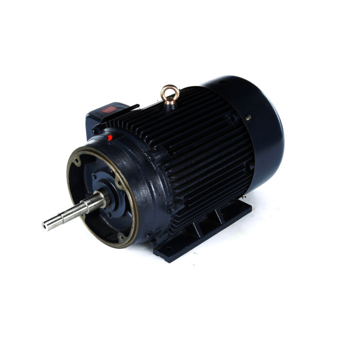 Close-Coupled Pump Motor, 40 & 30 HP, 3 Ph, 60 & 50 Hz, 230/460 & 190/380 V, 1800 & 1500 RPM, 324JP Frame, TEFC
