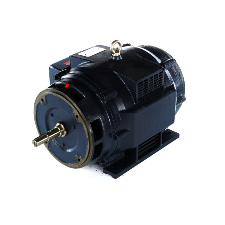 Close-Coupled Pump Motor, 30 HP, 3 Ph, 60 Hz, 575 V, 1200 RPM, 326JMV Frame, DP