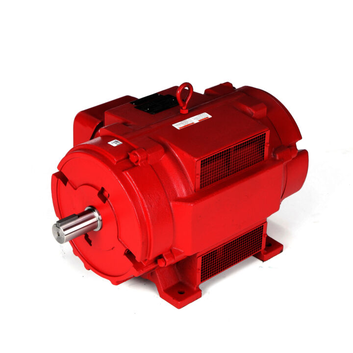 Fire Pump Motor, 60 HP, 3 Ph, 60 Hz, 200/400 V, 3600 RPM, 326TS Frame, DP