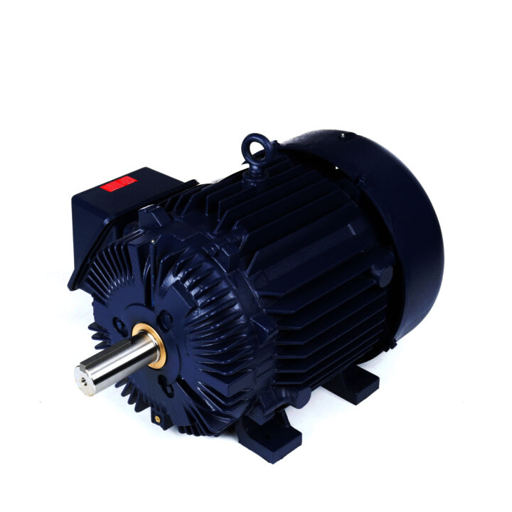 Severe Duty Motor, 40 HP, 3 Ph, 60 Hz, 460 V, 1200 RPM, 364T Frame, TEFC