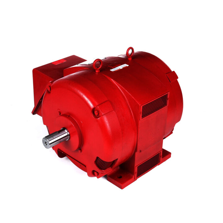 Fire Pump Motor, 125 & 100 HP, 3 Ph, 60 & 50 Hz, 230/460 & 190/380 V, 3600 & 3000 RPM, 404TS Frame, DP