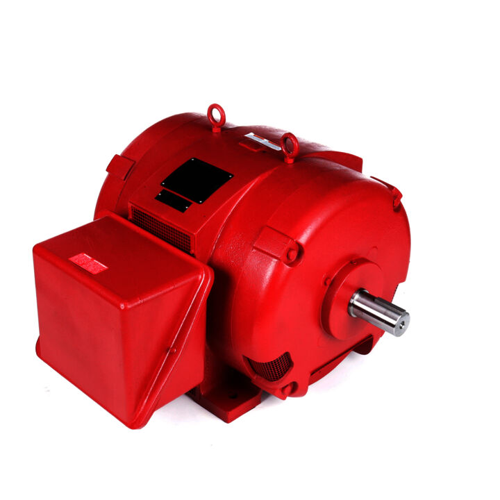 Fire Pump Motor, 125 & 100 HP, 3 Ph, 60 & 50 Hz, 230/460 & 190/380 V, 3600 & 3000 RPM, 404TS Frame, DP