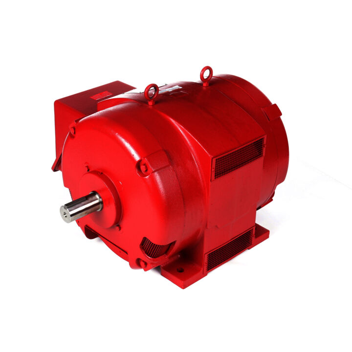 Fire Pump Motor, 150 & 125 HP, 3 Ph, 60 & 50 Hz, 460 & 380 V, 3600 & 3000 RPM, 405TS Frame, DP