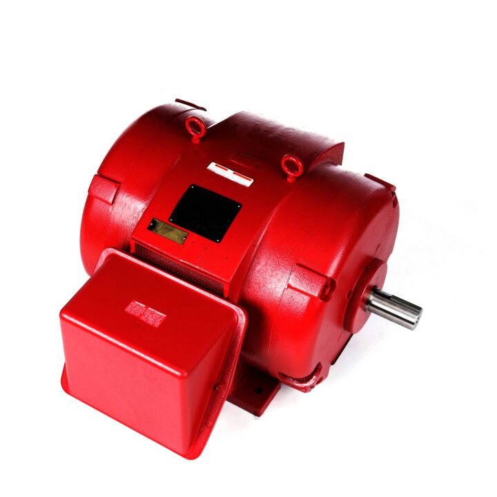 Fire Pump Motor, 150 & 125 HP, 3 Ph, 60 & 50 Hz, 460 & 380 V, 3600 & 3000 RPM, 405TS Frame, DP