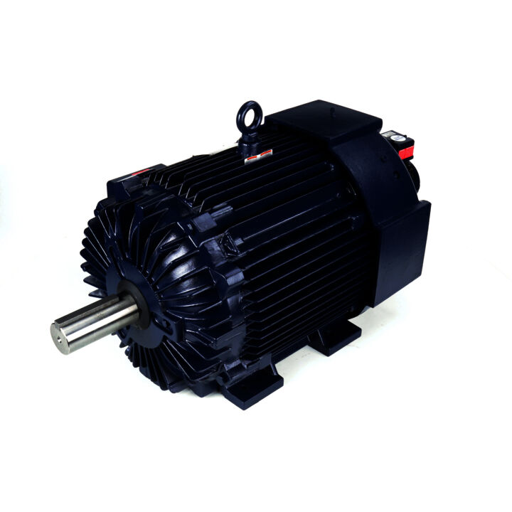 Encoder Motor, 125 HP, 3 Ph, 60 Hz, 460 V, 1800 RPM, 444T Frame, TEBC-AXIAL