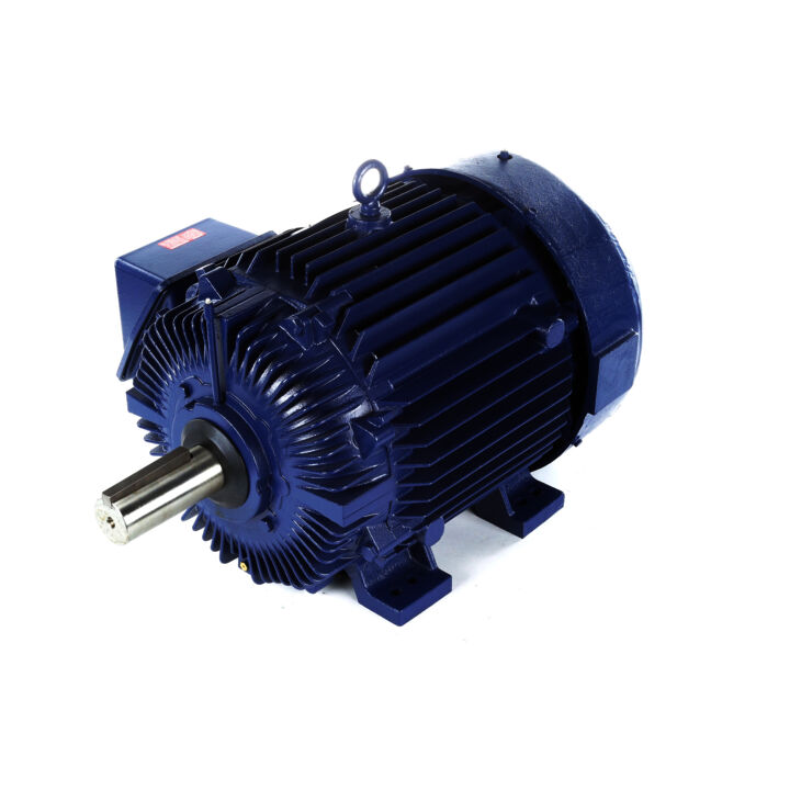 Severe Duty Motor, 100 HP, 3 Ph, 60 Hz, 575 V, 1800 RPM, 405T Frame, TEFC