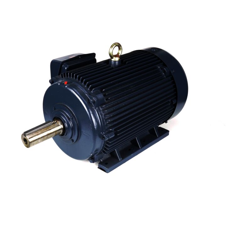 General Purpose Motor, 125 & 100 HP, 3 Ph, 60 & 50 Hz, 460 & 380 V, 1800 & 1500 RPM, 444T Frame, TEFC