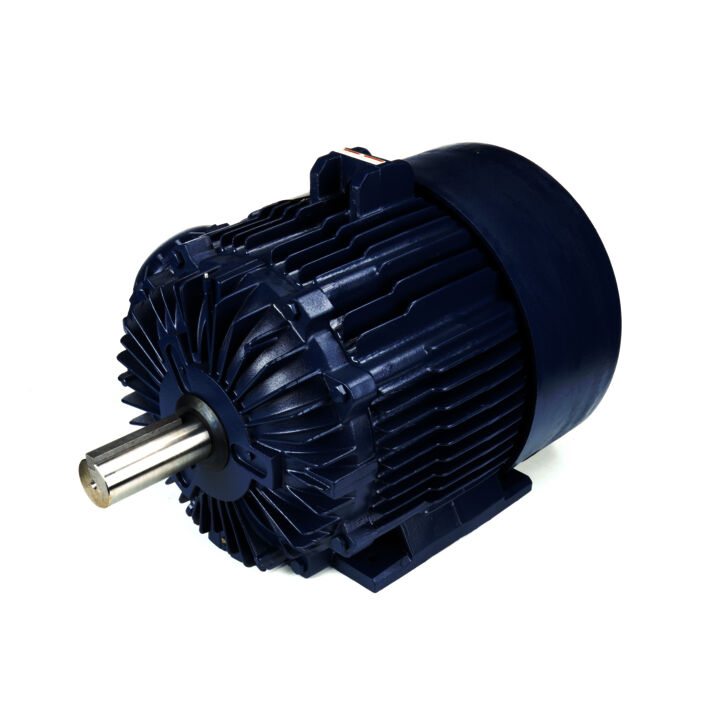 Explosion Proof Motor, 125 HP, 3 Ph, 60 Hz, 575 V, 1800 RPM, 444T Frame, EPFC