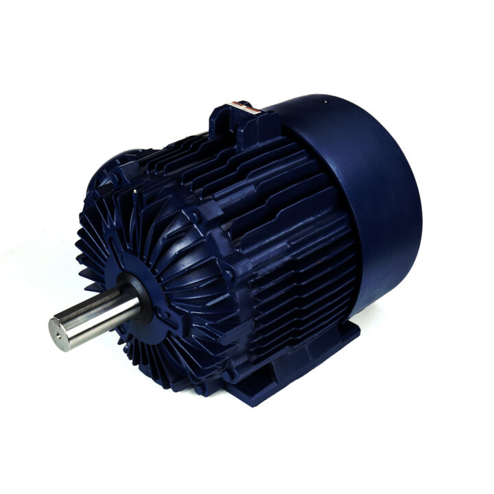 Explosion Proof Motor, 125 & 100 HP, 3 Ph, 60 & 50 Hz, 460 & 380 V, 1800 & 1500 RPM, 444T Frame, EPFC