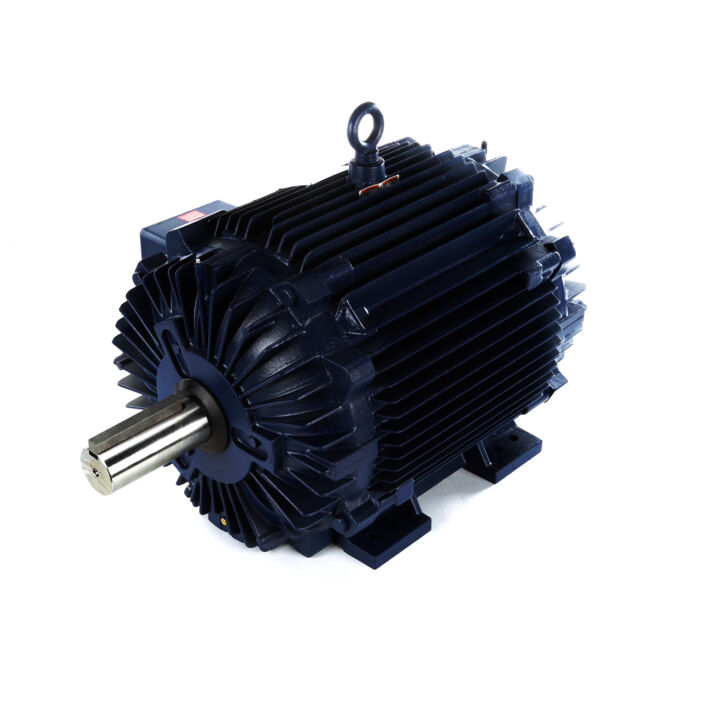 Severe Duty Motor, 125 & 100 HP, 3 Ph, 60 & 50 Hz, 460 & 380 V, 1800 & 1500 RPM, 444TV Frame, TEAO