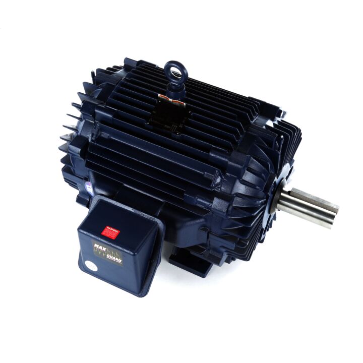 Severe Duty Motor, 125 & 100 HP, 3 Ph, 60 & 50 Hz, 460 & 380 V, 1800 & 1500 RPM, 444TV Frame, TEAO