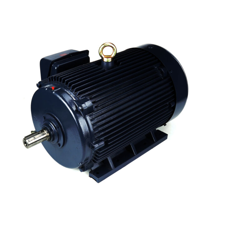 General Purpose Motor, 150 & 125 HP, 3 Ph, 60 & 50 Hz, 460 & 380 V, 3600 & 3000 RPM, 445TS Frame, TEFC