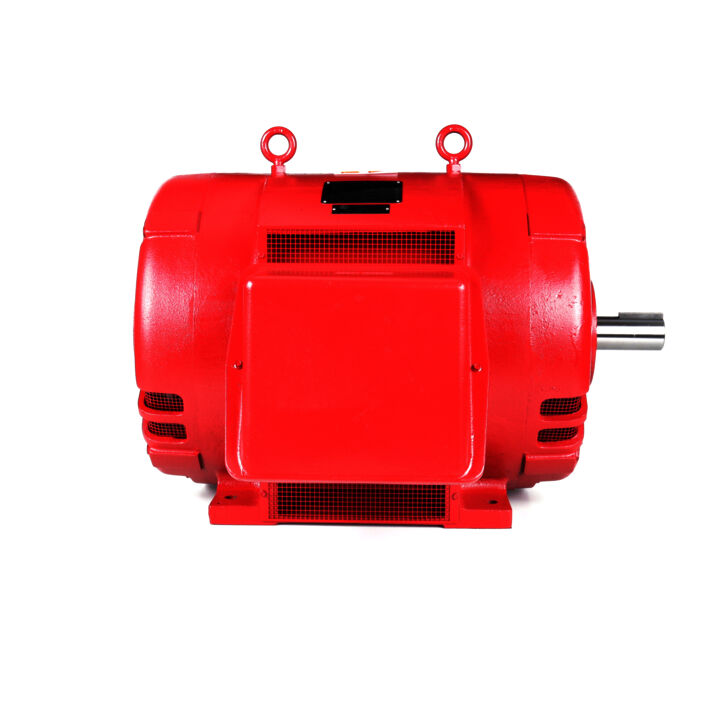 Fire Pump Motor, 200 & 150 HP, 3 Ph, 60 & 50 Hz, 460 & 380 V, 1800 & 1500 RPM, 445TS Frame, DP