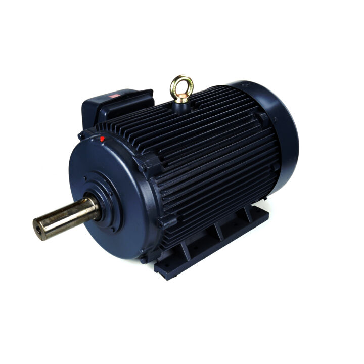 General Purpose Motor, 125 & 100 HP, 3 Ph, 60 & 50 Hz, 460 & 380 V, 1200 & 1000 RPM, 445T Frame, TEFC