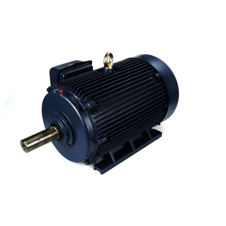 General Purpose Motor, 150 & 125 HP, 3 Ph, 60 & 50 Hz, 460 & 380 V, 1800 & 1500 RPM, 445T Frame, TEFC