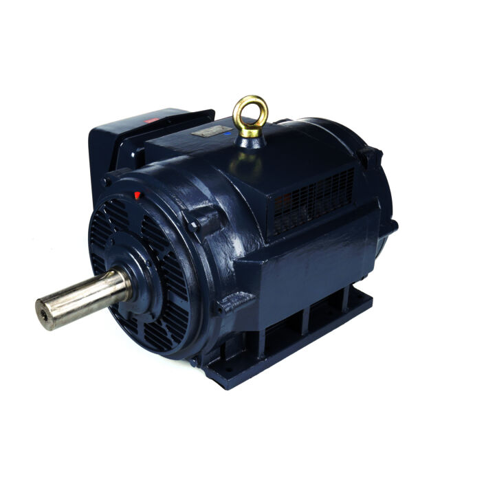 General Purpose Motor, 125 & 100 HP, 3 Ph, 60 & 50 Hz, 460 & 380 V, 1200 & 1000 RPM, 445T Frame, DP