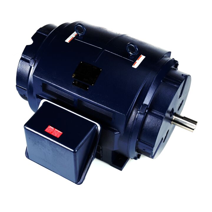 Fire Pump Motor, 300 & 250 HP, 3 Ph, 60 & 50 Hz, 460 & 380 V, 3600 & 3000 RPM, 447TS Frame, DP