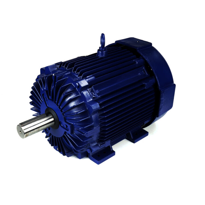 Severe Duty Motor, 150 HP, 3 Ph, 60 Hz, 460 V, 1800 RPM, 445T Frame, TEFC