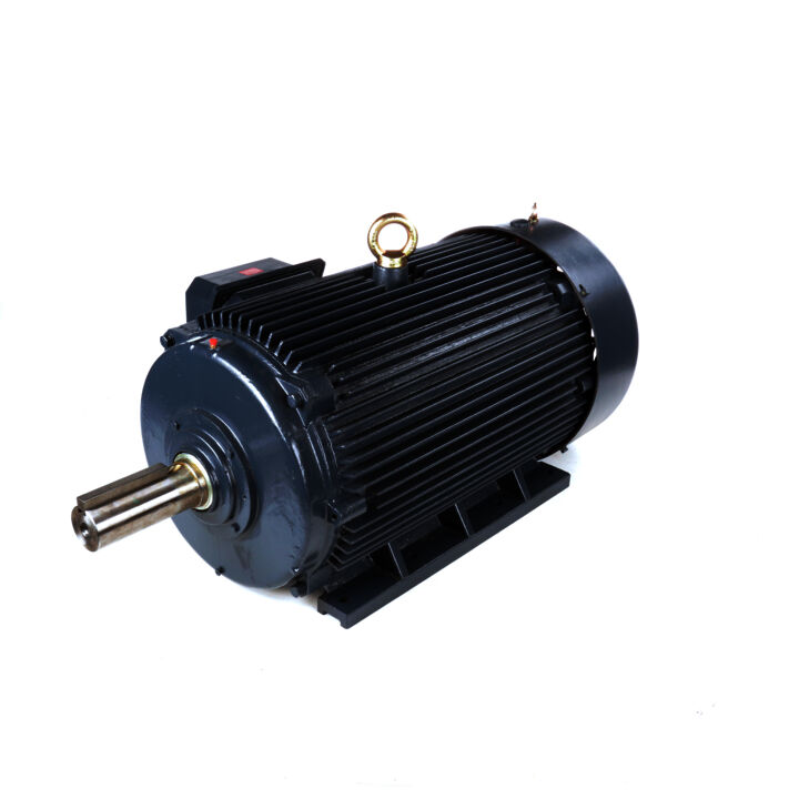 Crusher Duty Motor, 200 & 150 HP, 3 Ph, 60 & 50 Hz, 460 & 380 V, 1800 & 1500 RPM, 447T Frame, TEFC